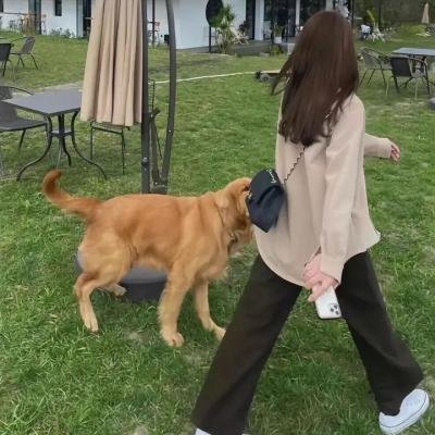 费里布朗